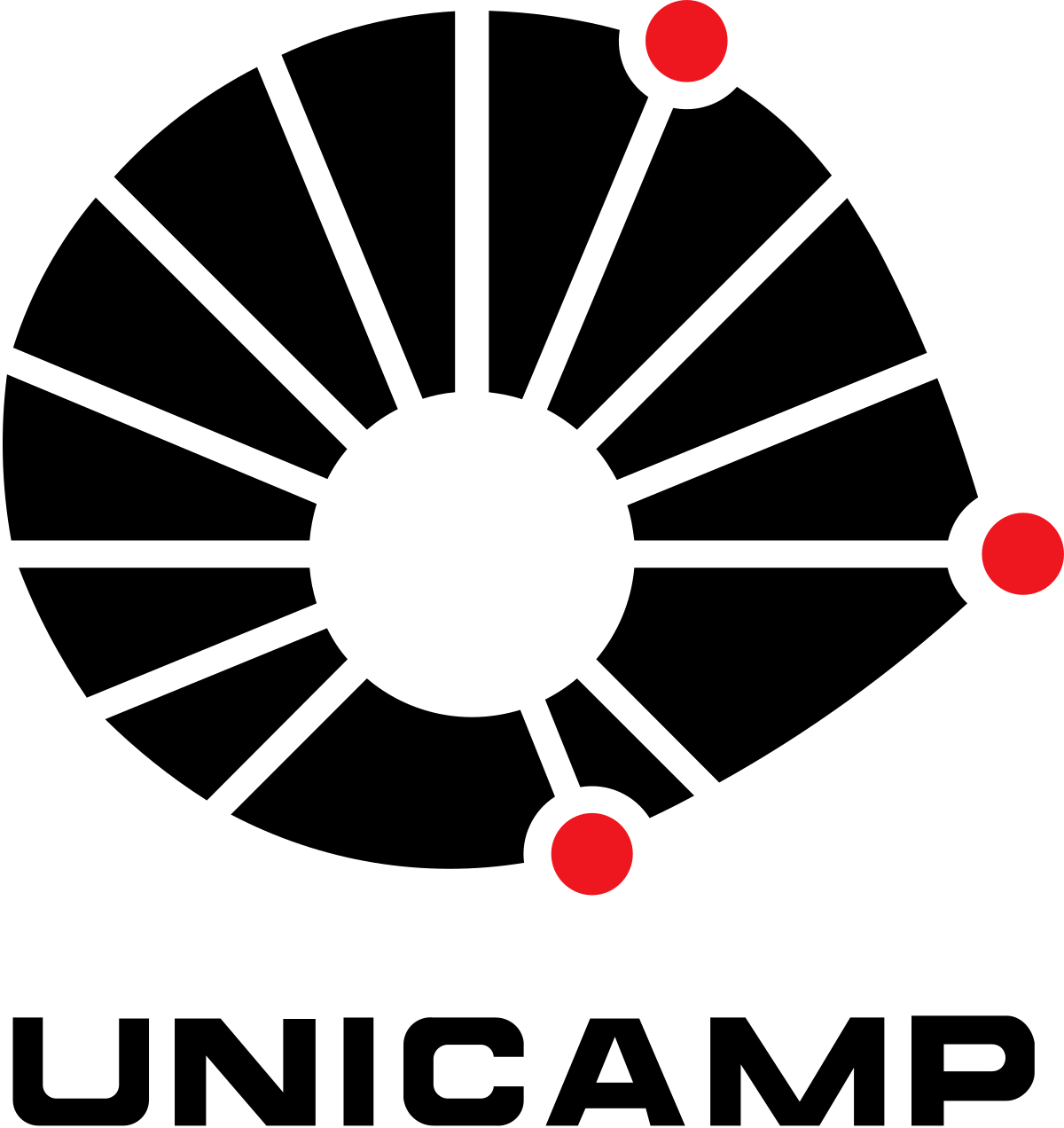 Logo UNICAMP